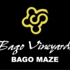 Bago Maze<div>&amp; Vineyard</div>