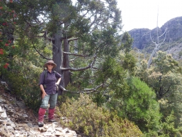 Janet Cohen - A Matter of Time