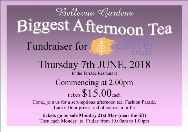 Biggest Afternoon Tea Fundraising Invitation